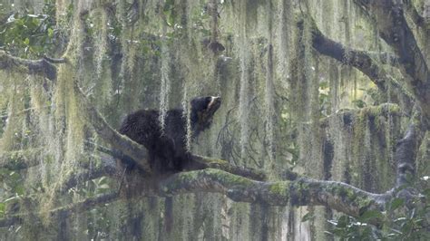 Voici Les Plus Belle Photos De Nature En Selon Un C L Bre Concours