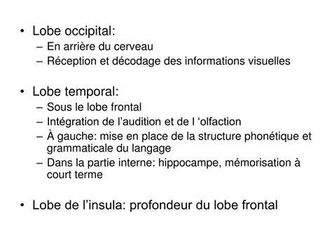 Ppt Anatomie Et S Miologie En Neurologie Powerpoint Presentation