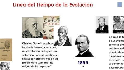 Linea del tiempo de la evolución