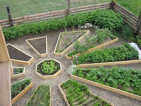 99 Unusual Vegetable Garden Ideas For Home Backyard Home Vegetable Garden Vegetable Garden