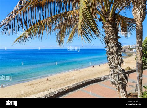 Palm Tee And Promenade On Morro Jable Beach On Coast Of Jandia