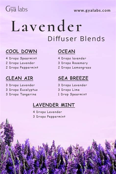 Top 10 Lavender Essential Oil Benefits Artofit