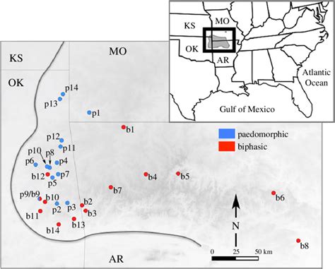 Map of the Ozark Plateau with E. tynerensis sampling localities. Inset ...