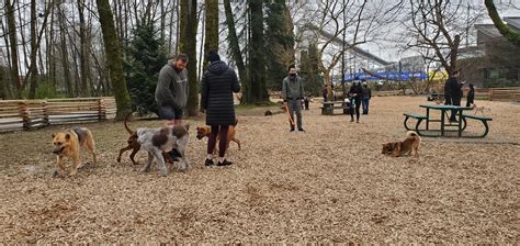 Lynnmouth Off Leash Dog Park North Vancouver Bc The Dog Network