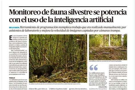 Monitoreo De Fauna Silvestre Se Potencia Con El Uso De Inteligencia Artificial