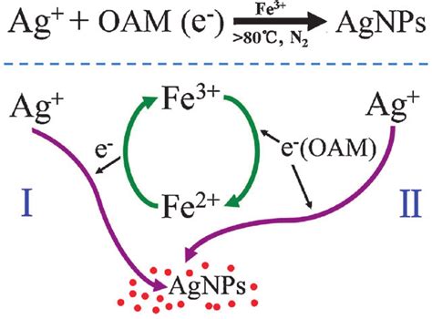 Scheme 1 Schematic Illustration Of The Formation Of Agnps With The