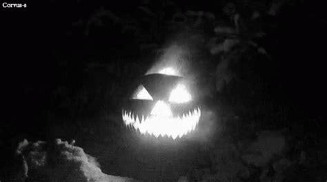 Pumpkin Scary GIF - Pumpkin Scary Firepumpkin - Discover & Share GIFs