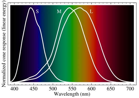 Color Science Santha Lakshmi Narayana