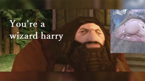 The Best Ps1 Hagrid Memes — Ps1 Hagrid Meme Explained Gamepur