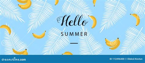 Tổng Hợp Hơn 300 Summer Background Banner đẹp Và Tươi Vui