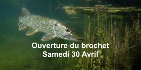 Ouverture Du Brochet Association Marseille Aubagne De P Che