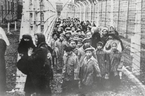 Liberation of Auschwitz - Mirror Online