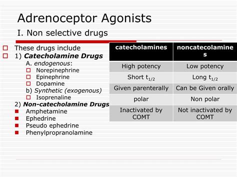 PPT - Adrenergic & Antiadrenergic Drugs PowerPoint Presentation - ID:908311