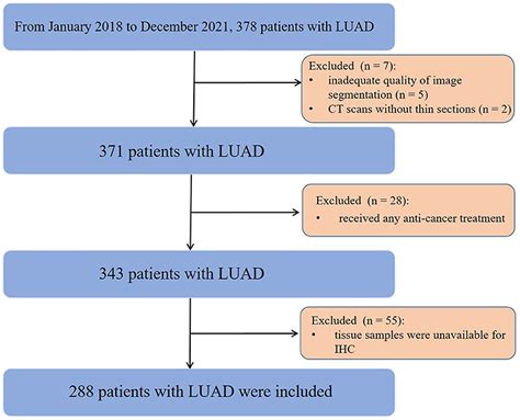 Frontiers Ct Based Radiomic Phenotypes Of Lung Adenocarcinoma A Preliminary Comparative