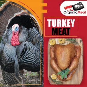 Turkey Meat – Halal Organic Meat