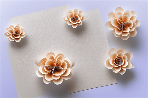 3D Paper Flowers · Creative Fabrica