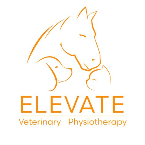 Equine - Elevate Veterinary Physiotherapy