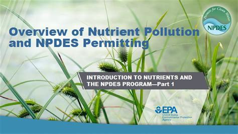 Overview Of Nutrient Pollution And NPDES Permitting