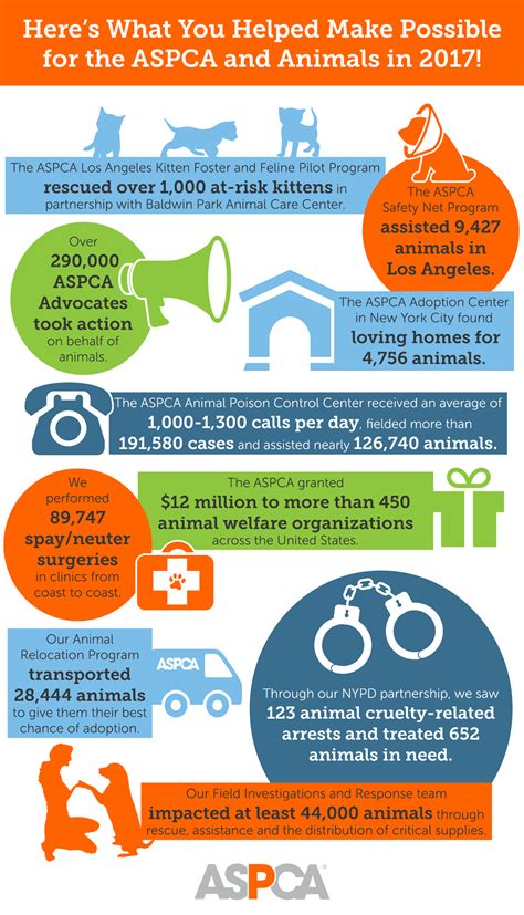Looking Back At 2017 A Remarkable Year For Animals And The Aspca Aspca