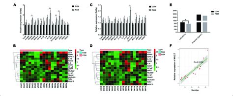 The Relative Expression Of Barrier And Immunity Relating Genes And