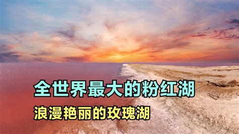 你见过粉红色的湖吗？塞内加尔的玫瑰湖是全世界最大的粉红湖高清1080p在线观看平台腾讯视频