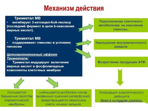 Тримектал МВ: показания и инструкция по применению, цена, аналоги, отзывы