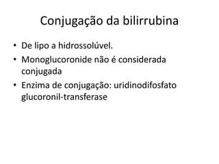 Ciclo Ntero Hep Tico Da Bilirrubina E Icter Cia Em Rn Ppt