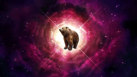 Space Bear Wallpapers - Top Free Space Bear Backgrounds - WallpaperAccess