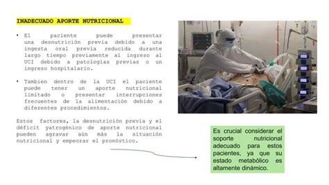 Requerimiento Nutricional En Paciente Critico Pptx