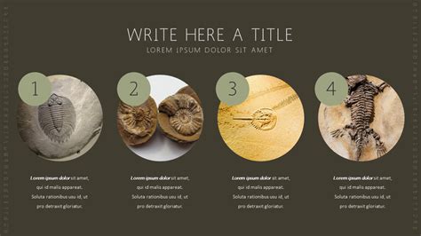 Fossil Templates Ppt