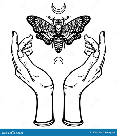 Human Hands Hold a Moth the Dead Head. Stock Vector - Illustration of drawing, human: 90987354