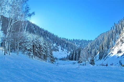 Ski resorts tours in Almaty