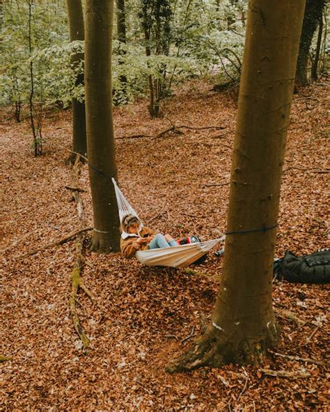 Top 5 Best Eno Singlenest Hammock 2024 Pixelfy Blog