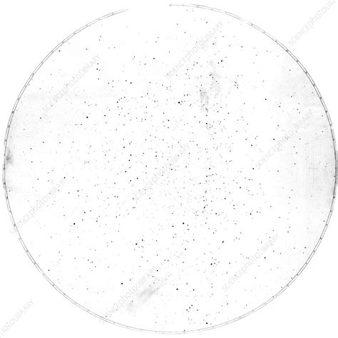 Milky Way star map - Stock Image - C004/2250 - Science Photo Library