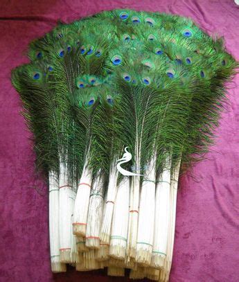 Free Shipping Wholesale 100pcs Lot 25 30cm Diy Feather Centerpieces