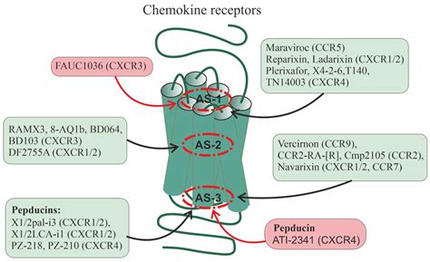 Ijms Free Full Text Allosteric Regulation Of G Protein Coupled