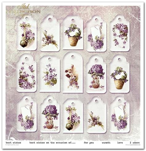 Zestaw Do Scrapbookingu SLS 044 Flower Post Violet Poczta Kwiatowa