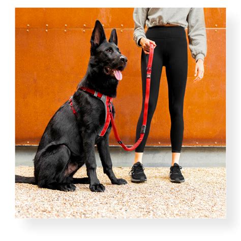 Ezydog X Link Dog Harness Red Pet Connect Nz