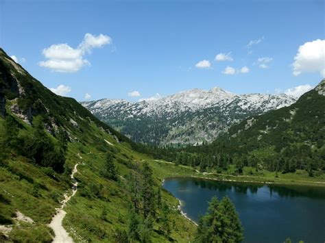 Tauplitzalm: wędrując alpejskim ogrodem botanicznym - Przygody Szymona