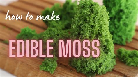 How To Make Edible Moss Edible Moss Sponge Youtube