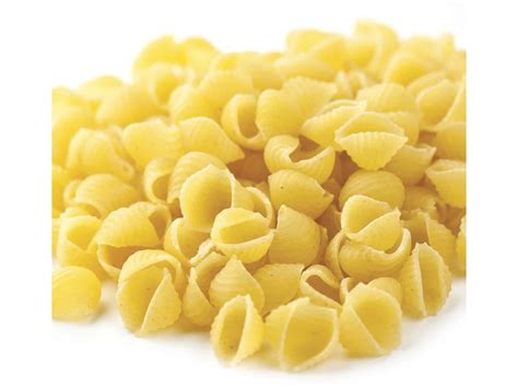 Small Shell Pasta Bulk Priced Food Shoppe