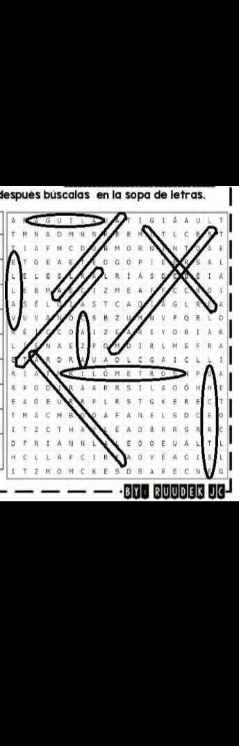 Me Ayudan A Encontrar Las Palabras En La Sopa De Letras Xfis Doy Corona