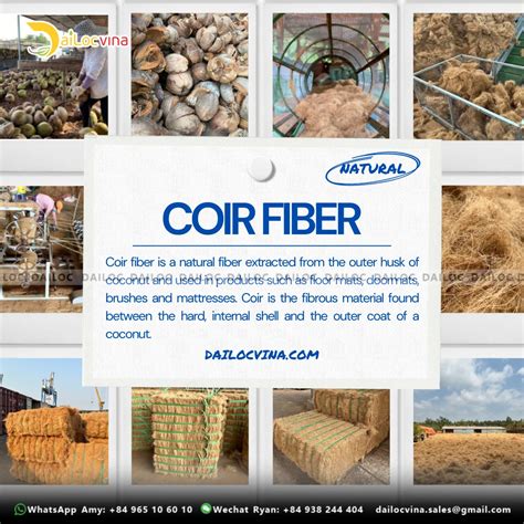 Quality Sustainable Natural Coconut Coir Fiber For Global Export From