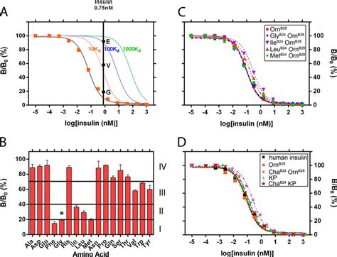 Functional Screening Of Insulin Analogs And Receptor Binding Assays A Download Scientific