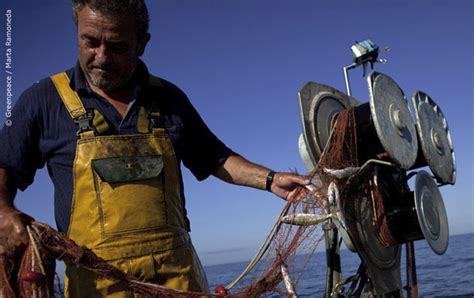 Greenpeace Considera Injusto Que La Flota Sostenible Pague Las