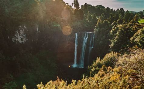 Discover the Breathtaking Waikato Waterfalls - WaikatoNZ