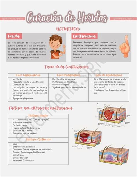 Curaci N De Heridas Alerta Nurse Udocz