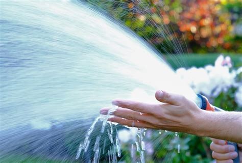 Mano Cortada De Una Persona Rociando Agua En El Jard N Foto Premium