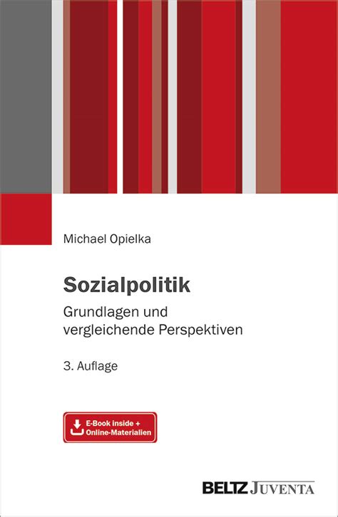 Sozialpolitik Grundlagen Und Vergleichende Perspektiven Mit E Book