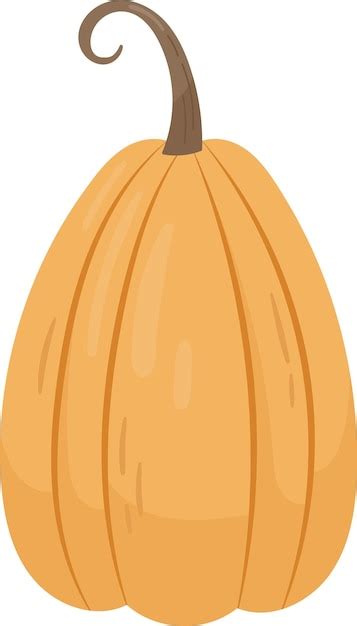 Premium Vector Pumpkin Vegetable Ripe